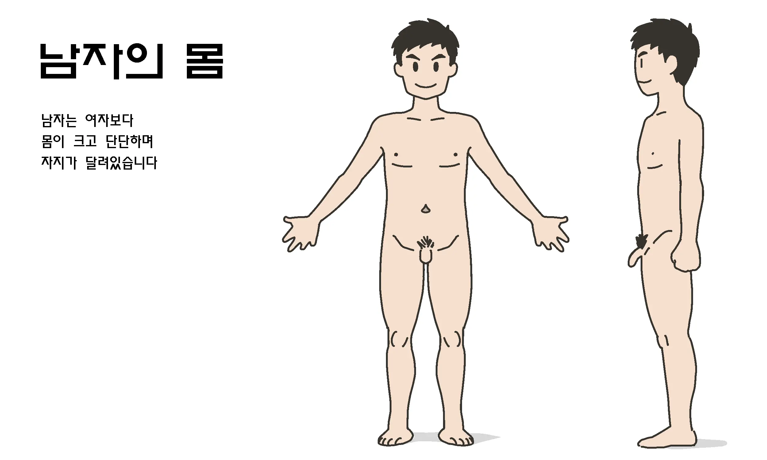 Watashitachi No Karada ~Kodomo Ga Dekirushikumi~ | 남자와 여자의 몸구조 ~아기가 생기는 구조~